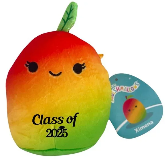 Set of 6 Squishmallows 5 Mini Plush Customized with Class of 2025